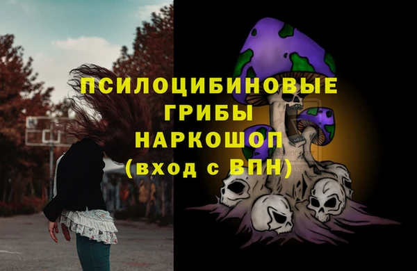 эйфоретик Богданович