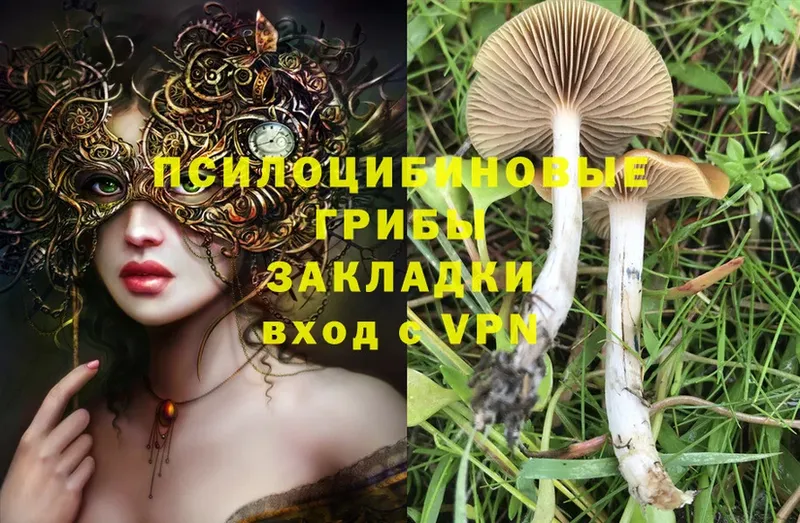 Псилоцибиновые грибы MAGIC MUSHROOMS  Югорск 